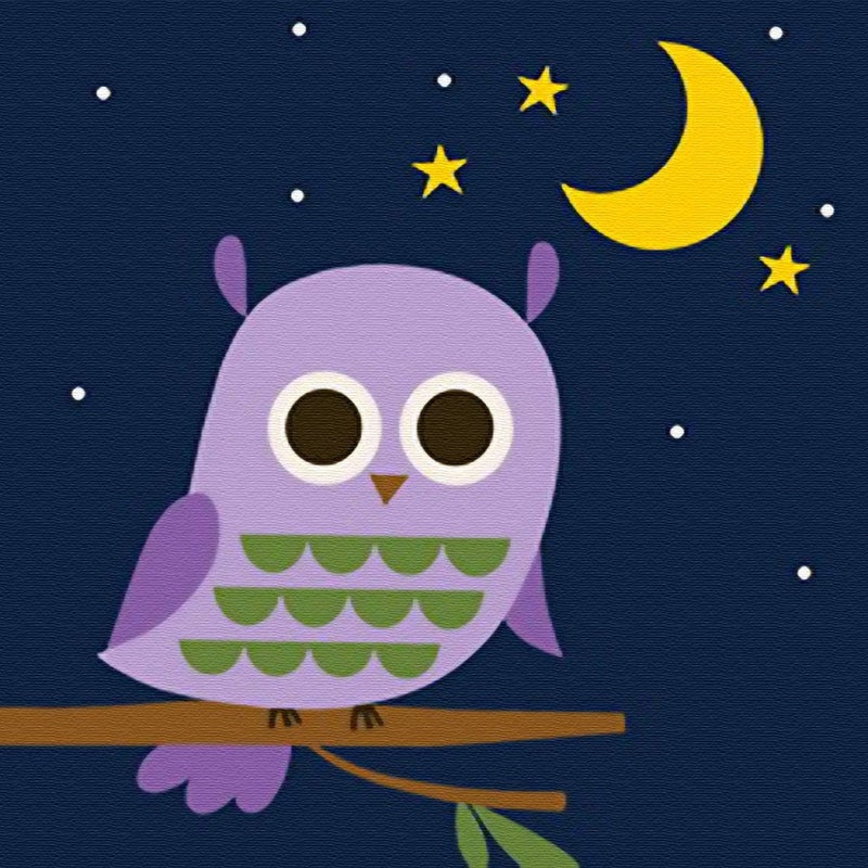 KOMI Paint by Numbers Kits for Kids 4-8, Paint by Numbers Kids with Frame, Owl Painting with Numbers Art Craft for Kid 8x8inch - Image 1